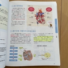 病理生理とフィジカルアセスメントの本の画像