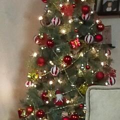 クリスマスツリーの画像