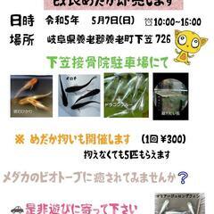 メダカの即売会
