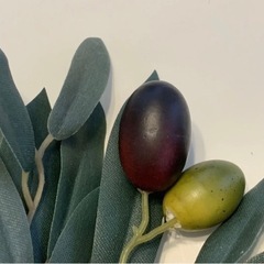 【新品未使用】雑貨 ディスプレイ用 オリーブの葉 30本 観葉植物の画像