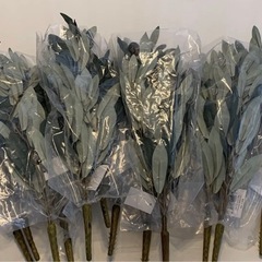 【新品未使用】雑貨 ディスプレイ用 オリーブの葉 30本 観葉植物の画像