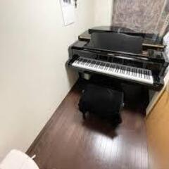 練馬高野台、石神井公園から徒歩圏内！ピアノ、フルート音楽教室♪〜子供の為のレッスンあり〜の画像