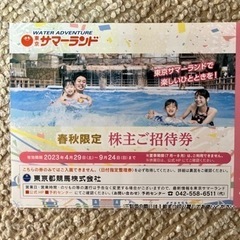 【サマーランド 株主優待券】春秋限定              12枚ありますの画像
