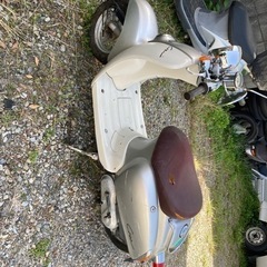 ⭐️ホンダ　ジョルノクレア4st⭐️の画像