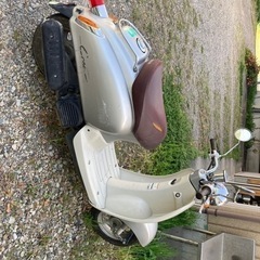 ⭐️ホンダ　ジョルノクレア4st⭐️の画像