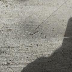 激安液晶テレビ保護アクリル板の画像