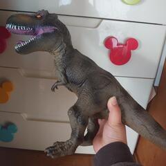 恐竜 ☆決まりました☆の画像
