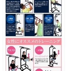 【週末割引】懸垂マシン　STEADY の画像