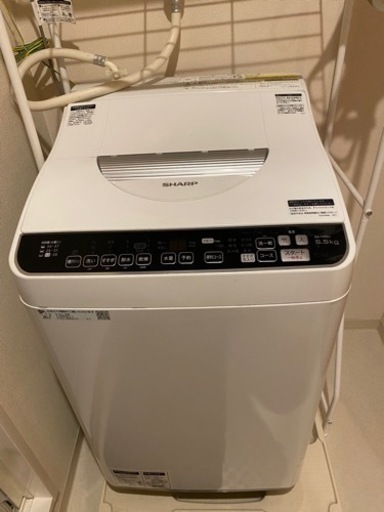 【2019年製SHARP】洗濯機5.5kg 最終値下げ