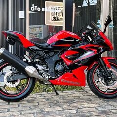 カワサキ Ninja250SL 保証付き フェンダーレス アクセサリーバー 社外プロジェクターヘッドライト レッドアイの画像
