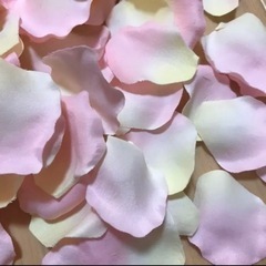 フラワーシャワー 花びら