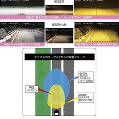 ipf led 50dflb h8 H11 h16 2色切替の画像