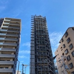 若手社員増加中！鳶のお仕事👍👍の画像