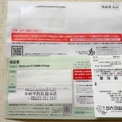 【美品】これ1本万能　ブルーカレントヤマガブランクス　の画像