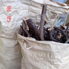 【薪や焚火】広葉樹　針葉樹　キャンプファイヤー ソロキャンプ　サウナ　バーベキュー　１袋からOK!の画像