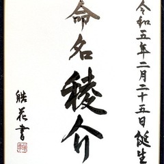 命名書承ってます