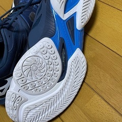 バドミントンシューズ28センチの画像