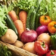 パプリカの収穫・箱詰め作業★屋内作業／選べる働き方週休2日or3...