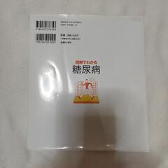 図解でわかる糖尿病の画像