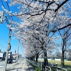 【女性限定】北村公園ウォーキング❗️