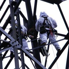 【大分市指定駆除業者】安心の見積無料　大分県内対応！　蜂駆除　便利屋 - 害虫/害獣駆除