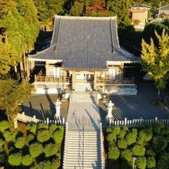 親子で遊ぶつつじまつり
