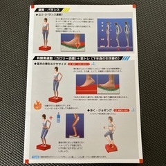 dinos パーフェクトエクサ　茶色　ダイエット　エクササイズ　トランポリンの画像