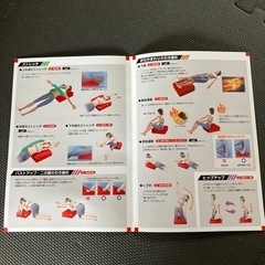 dinos パーフェクトエクサ　茶色　ダイエット　エクササイズ　トランポリンの画像