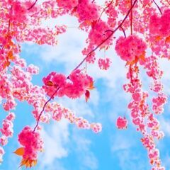 ✨青森県六ヶ所村日本原燃でのお仕事です！作業内容が豊富です！✨