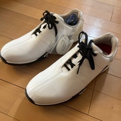 キャロウェイ　のシューズ　新品の画像
