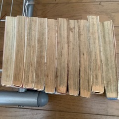 あさきゆめみし　10巻の画像