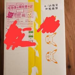 【即受け渡し】ポケモンセンター産　シュリンク付　スノーハザード&クレイバースト ジムセットの画像