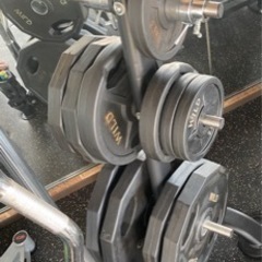 トレーニングセットの画像