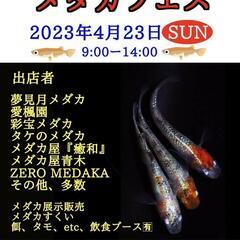 本日は沢山のご来場、ありがとうございました(*´∀｀*)め…