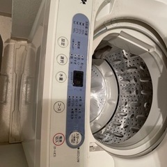2020年製　洗濯機　ステンレス槽の画像