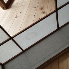 照明傘の画像