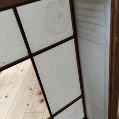 照明傘の画像