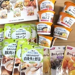 レトルト食品🥄ミキサー食　嚥下食　介護食