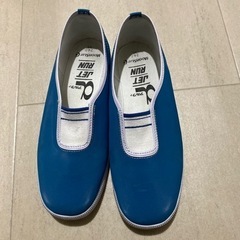 2ヶ月半使用 上履き 上靴 ムーンスター 青 24cmの画像