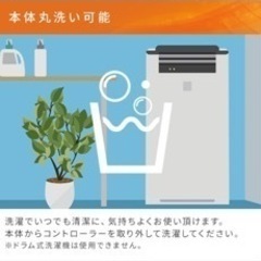 130cmx80cm YAMAZEN 電気毛布の画像