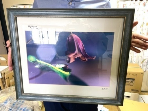 フジカラー　額縁　写真入り