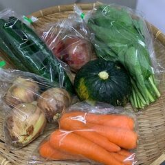 野菜界のダイソー目指します！オール税込100円！！