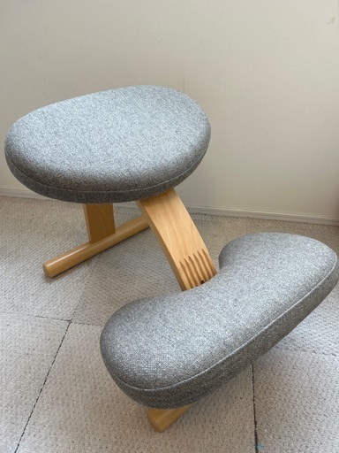 リボ社　バランスイージー