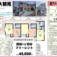 ★お家賃１ヵ月無料★1DKロフト付★賃料4.5円★ペット相談可★...