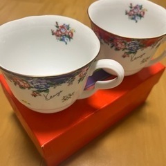 ティーカップ ペア