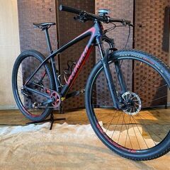 ■SPECIALIZED EPIC 29erHT スペシャライズ...