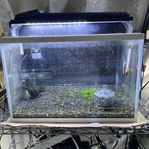 45センチ水槽一式