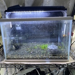 45センチ水槽一式