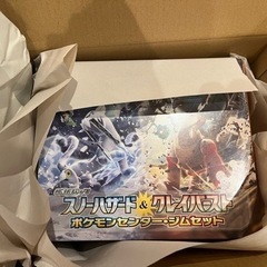 ポケモンカードゲーム スカーレット＆バイオレット 拡張パック スノーハザード＆クレイバースト ポケモンセンター・ジムセット