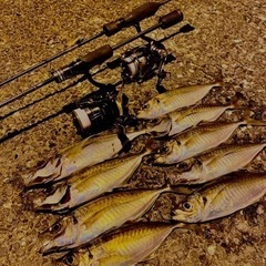 🌊内房外房🌊オンショア🎣ルアー好きな方🤙✨ − 千葉県
